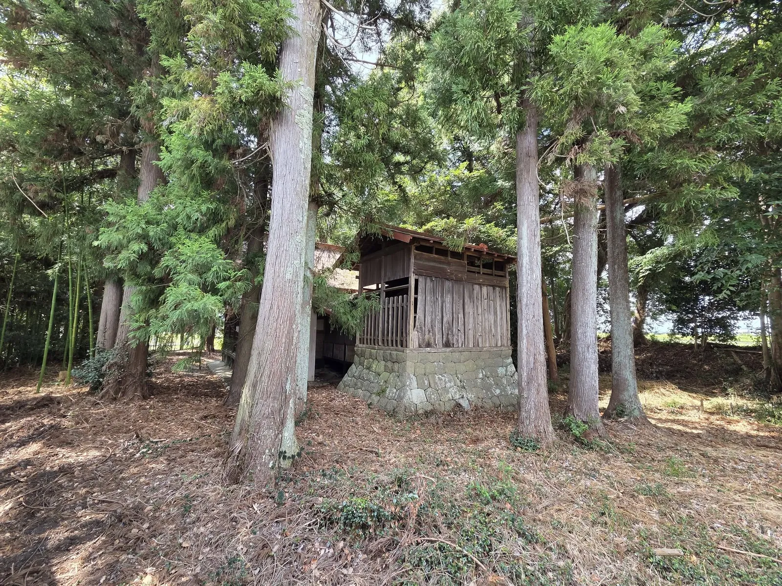 社叢の木々に囲まれた境内の小祠。