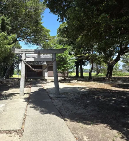 鳥居から続く参道と社殿。