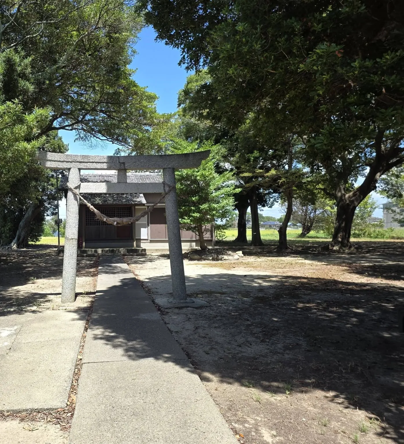 鳥居から続く参道と社殿。