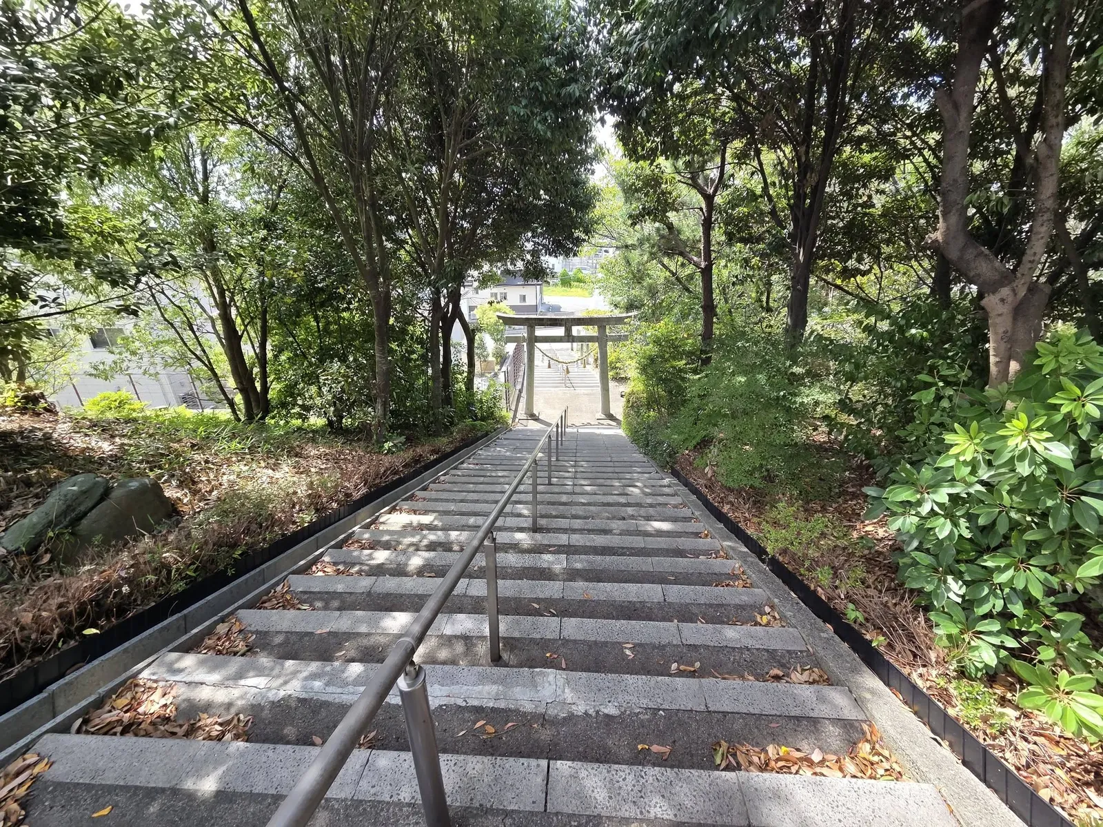 境内から石段越しに見下ろす参道。石段の先に鳥居が見える。