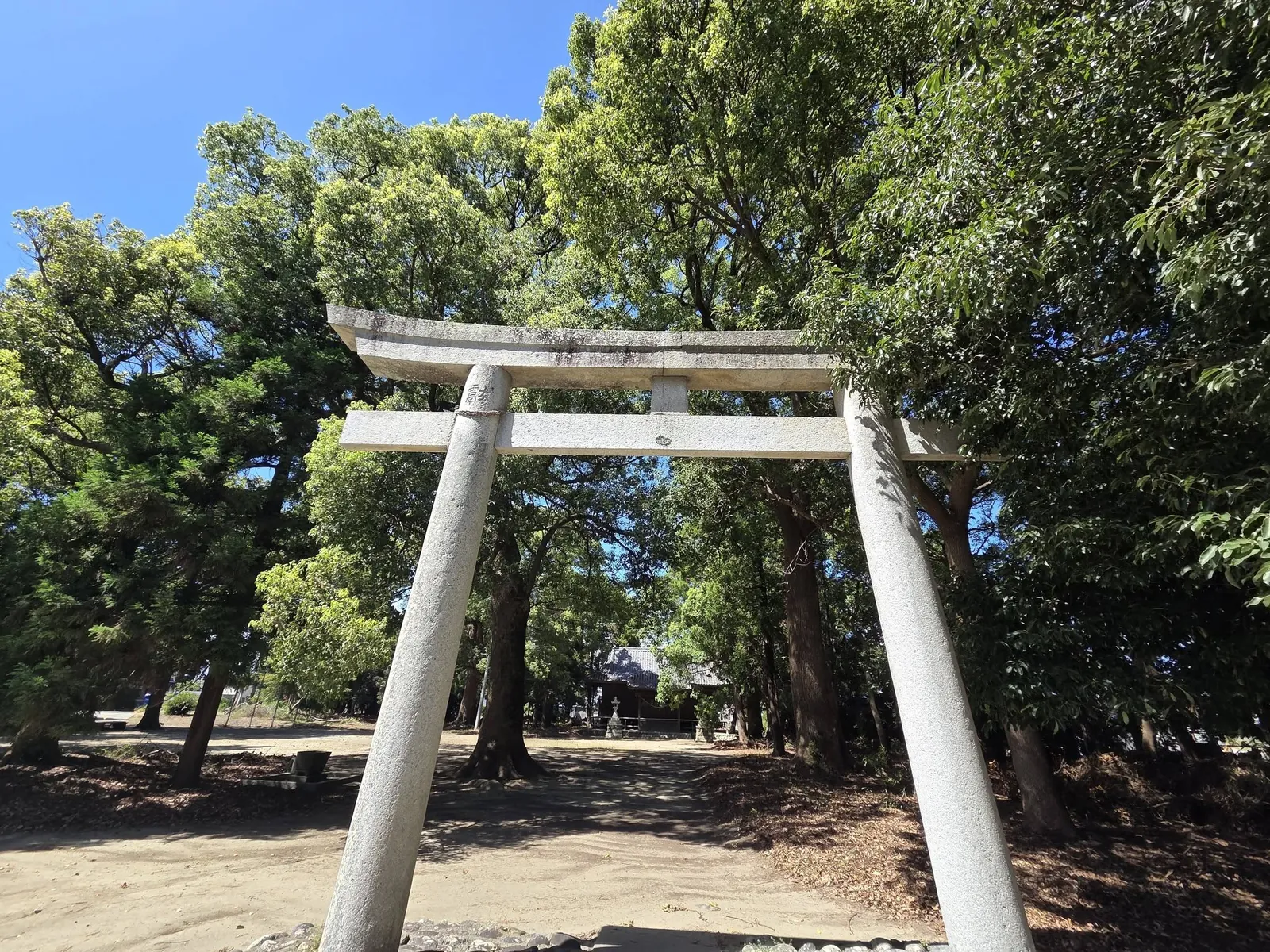 石鳥居と社殿。