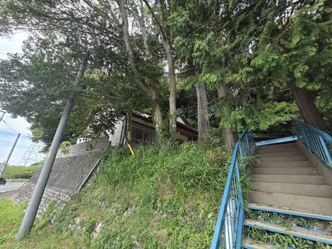 道路側から境内へ上る石段。社叢の大木が立つ。