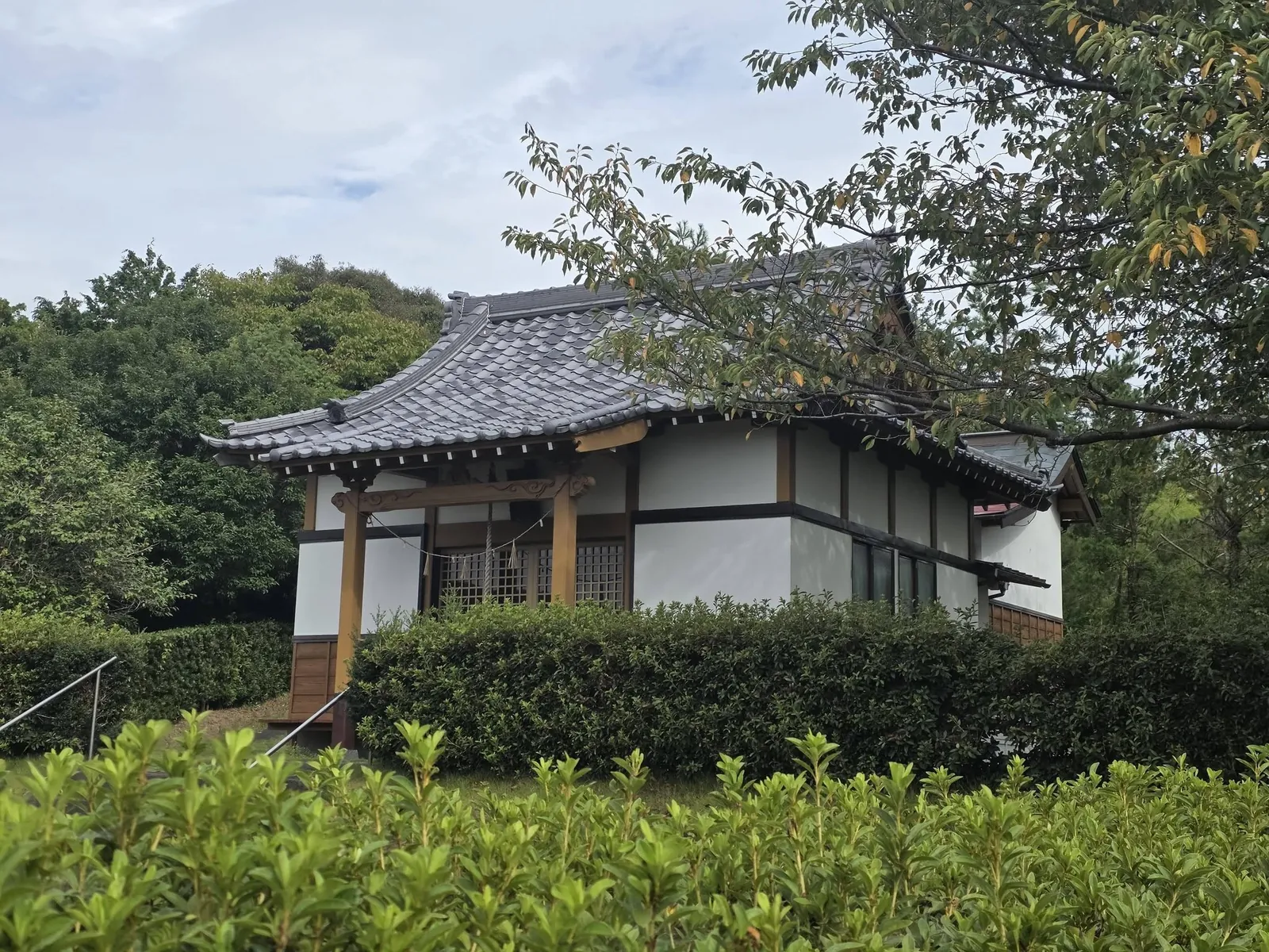 境内の植栽越しに見る社殿側面。瓦屋根と木部を記録する。