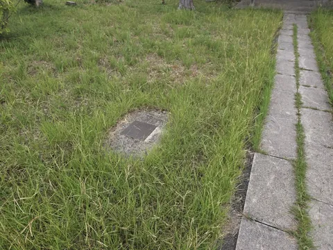 参道脇に据えられた石造物。草地と参道の境に位置する。