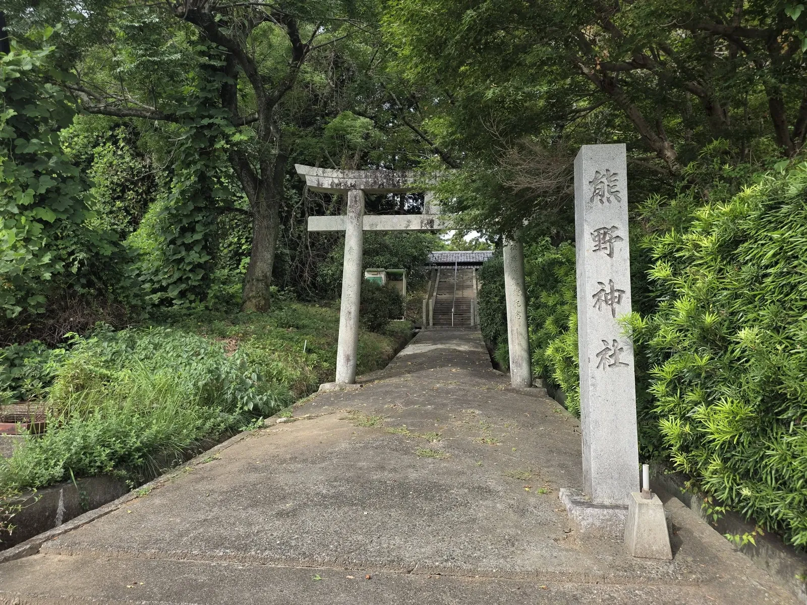 境内入口の石造鳥居と社号標。長い参道が社叢の奥へ続く。