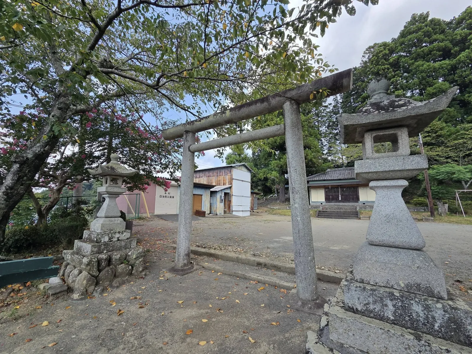 大木に囲まれた境内と鳥居。