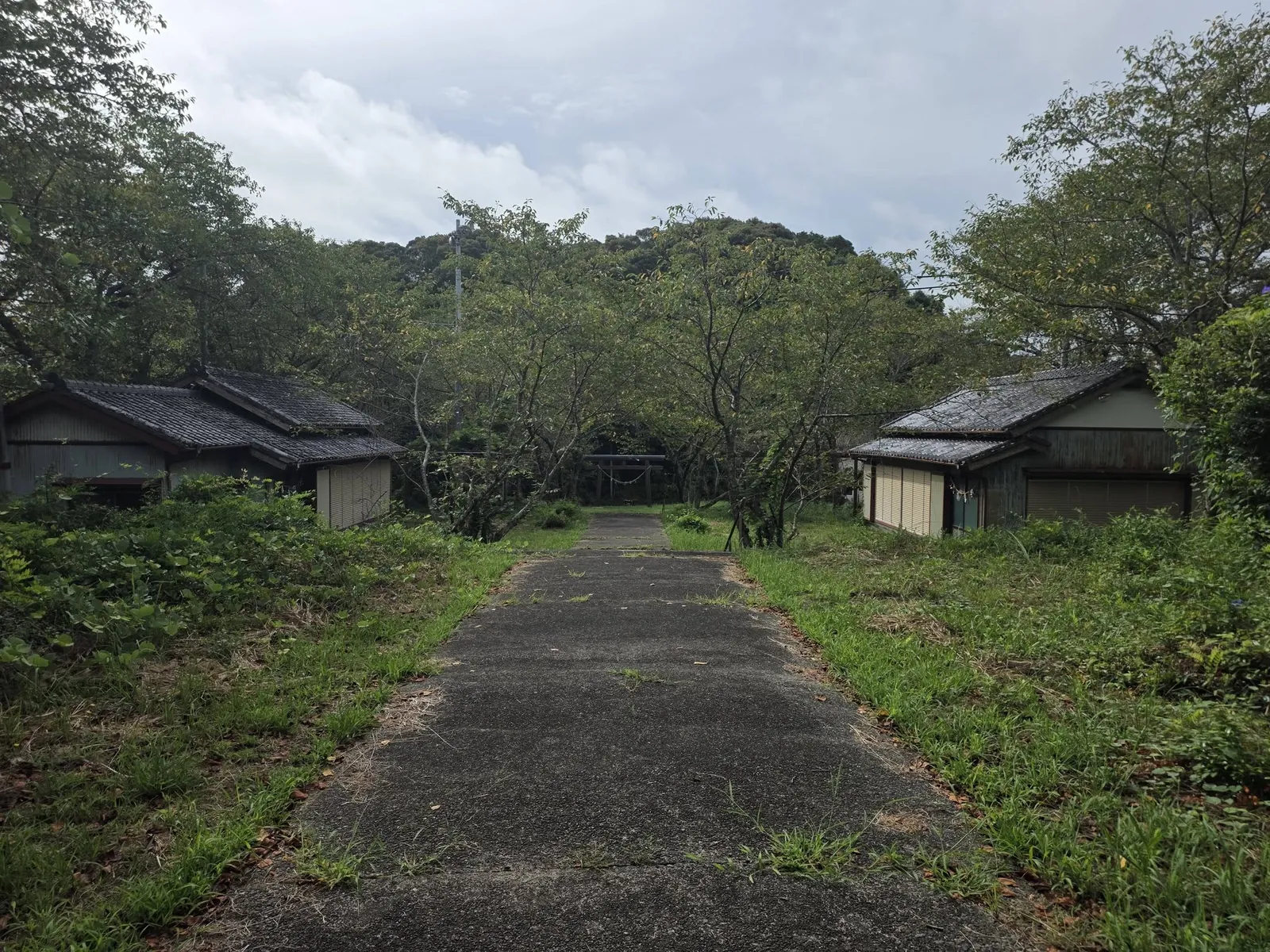 鳥居側から社殿方向を見る境内。両側に建物が立つ。