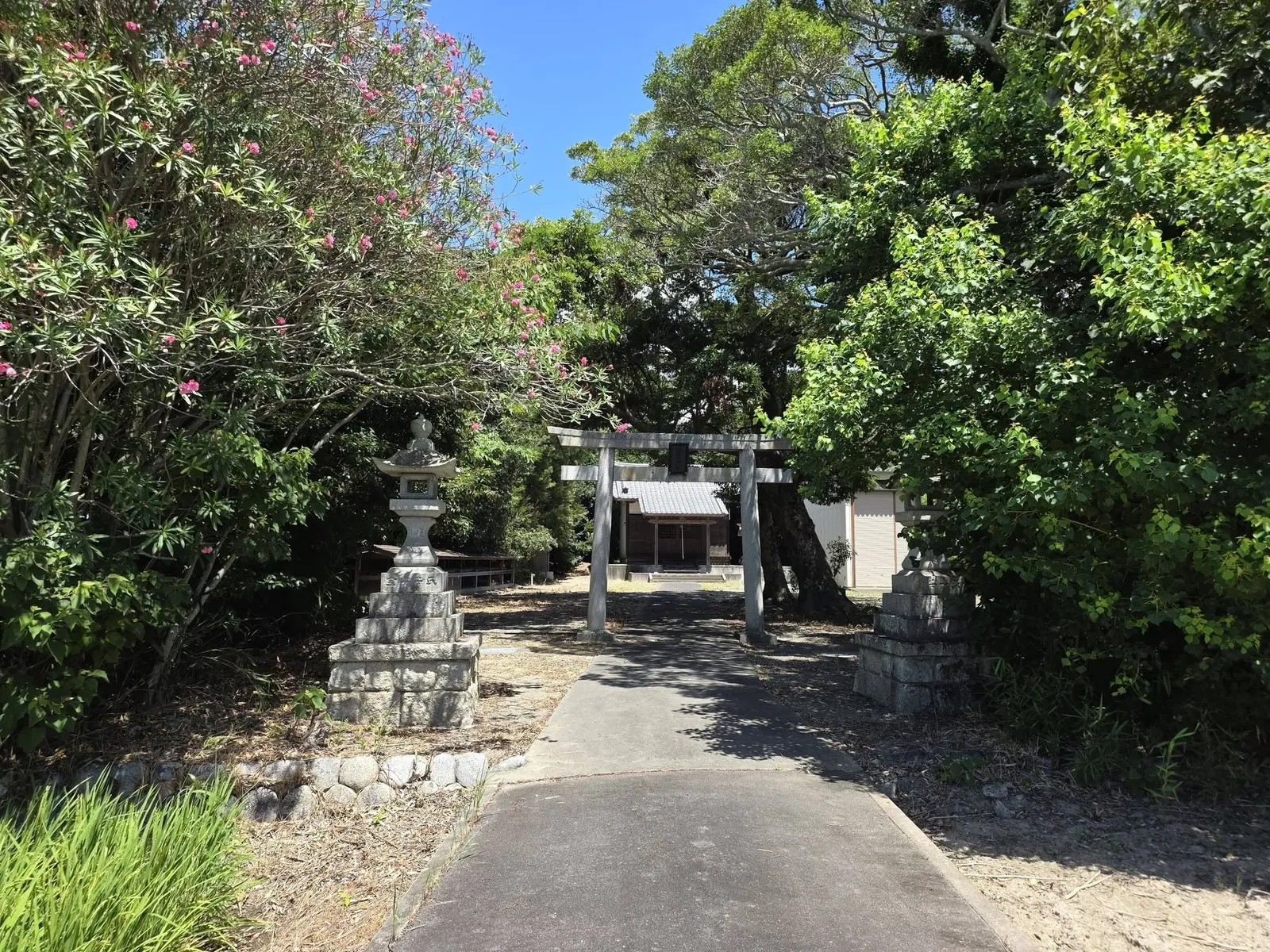 鳥居から続く参道と山王神社の社殿。