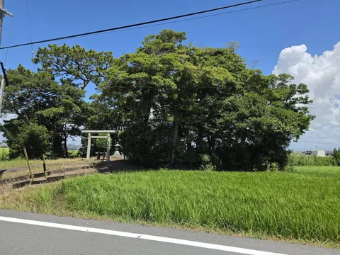 田園に囲まれた神明神社の社叢。