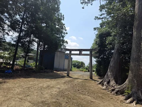 大木の間に立つ石造鳥居。