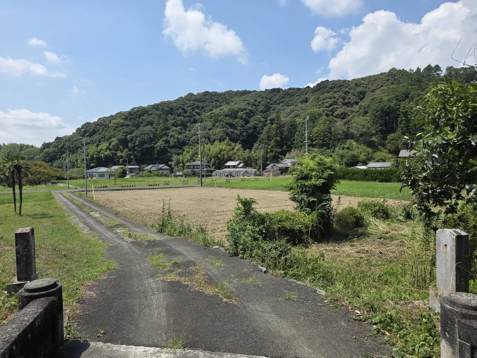 社地から周辺の田園と集落を望む。