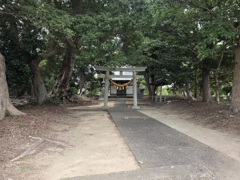 境内入口から鳥居と社殿へ続く参道。
