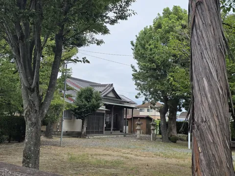 境内の大木越しに社殿を望む。