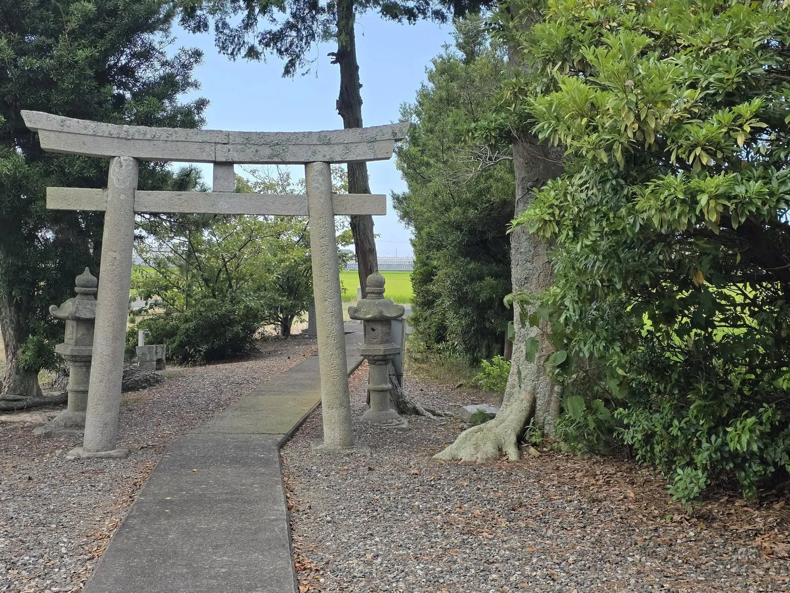 境内側から石造鳥居と参道、その先の田園を望む。