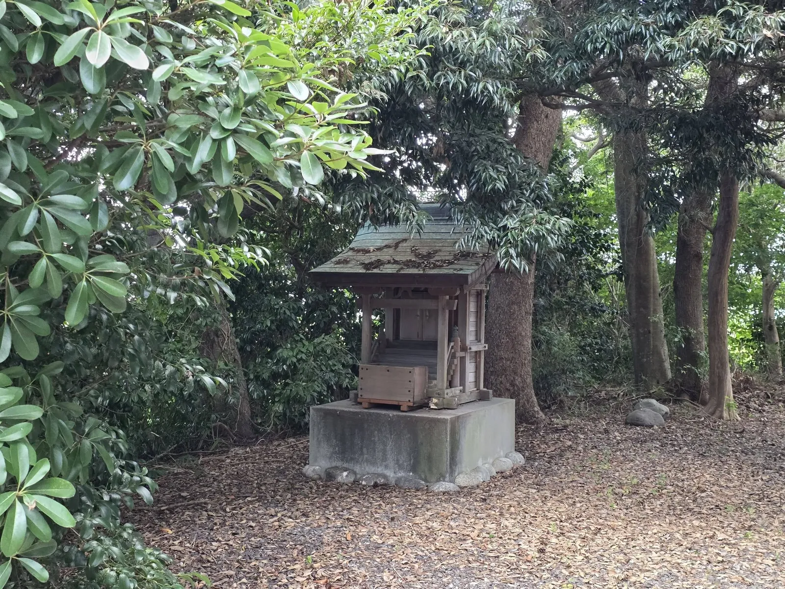 社叢の一角に鎮座する境内社。