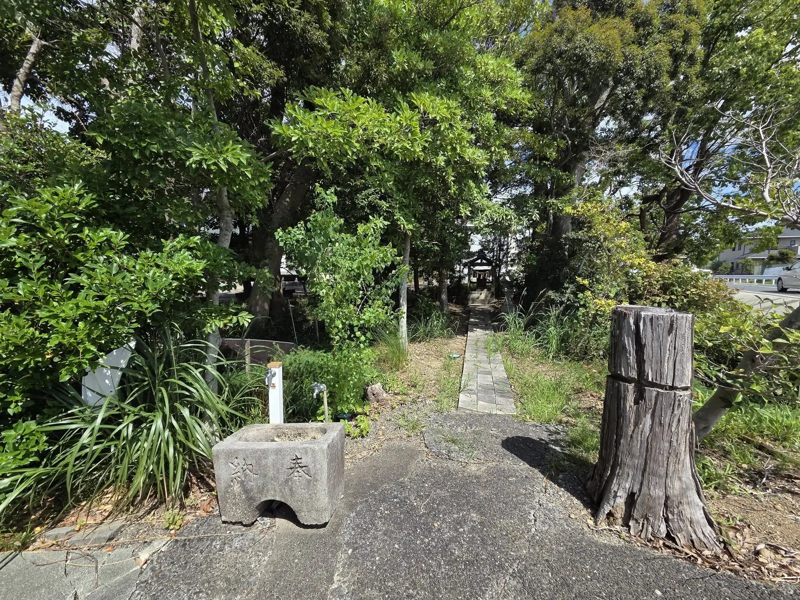 参道入口の手水鉢。「奉納」「春」の文字が刻まれ、奥に鳥居と社殿が見える。