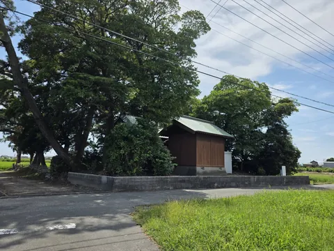 水田側から見た社叢と社殿。
