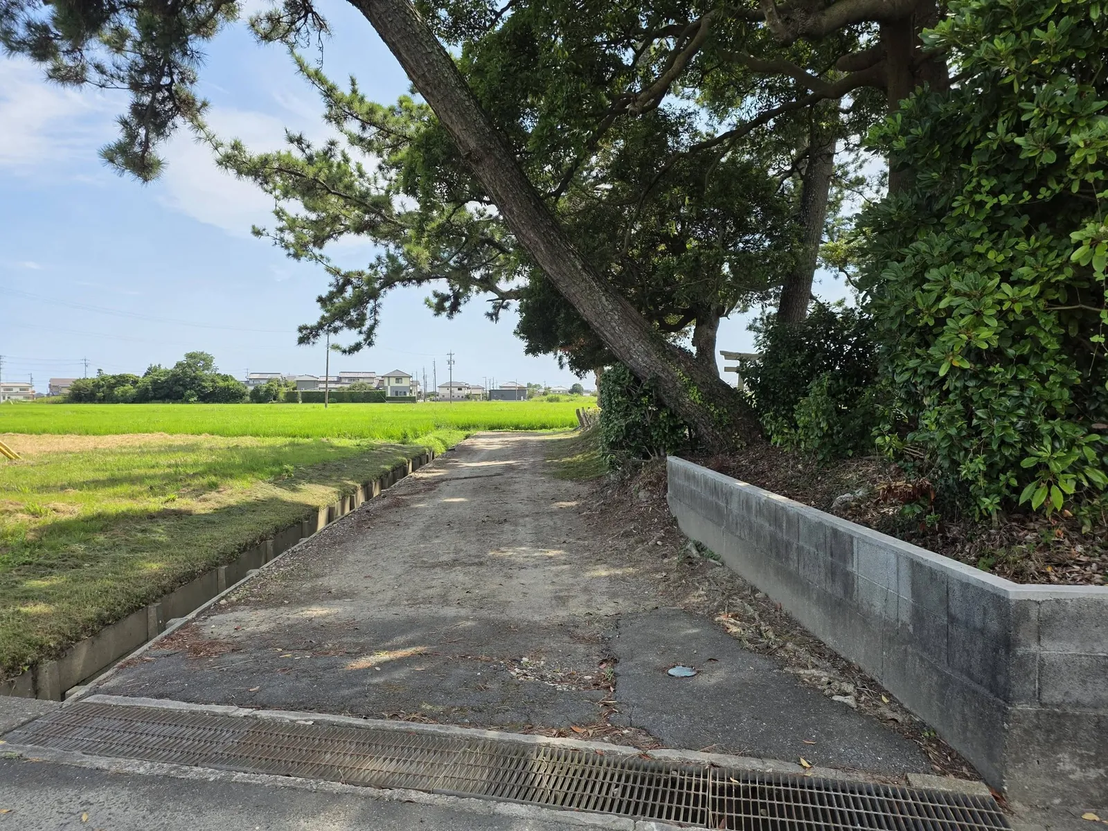 水田に面した境内入口と参道。