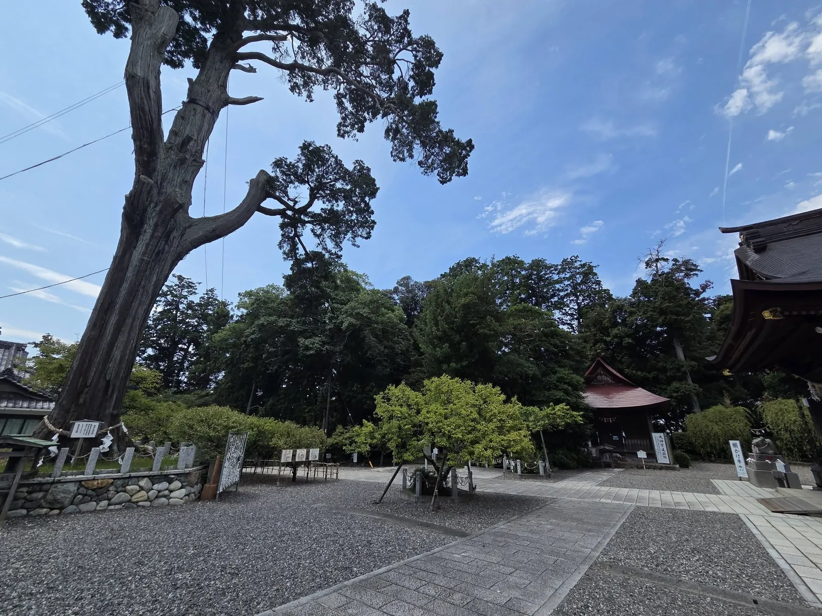 御神木から大神宮遥拝所の方向を見る。右手は拝殿の軒。