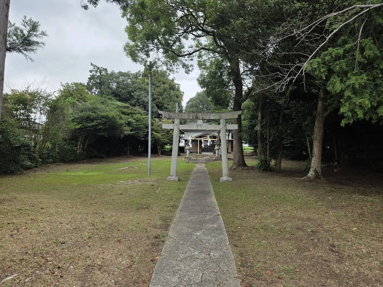 鳥居から社殿へ続く参道。広い草地と社叢に囲まれる。