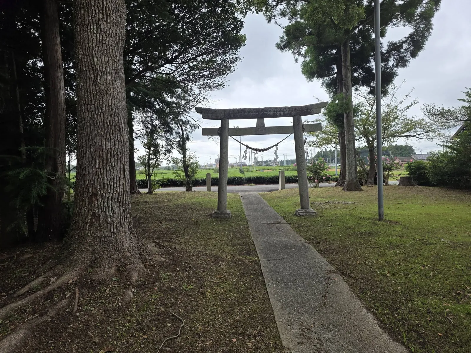 境内側から鳥居方向を見る参道。道路の先まで見通せる。